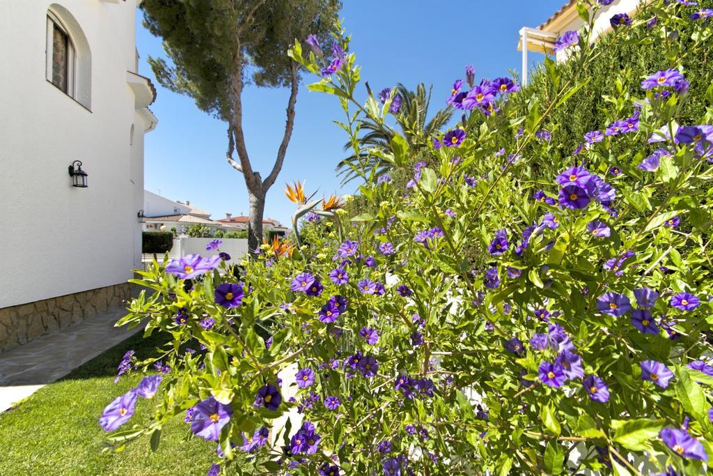 Arenda Pino Alto Villa Gallo Miami Playa Oda fotoğraf