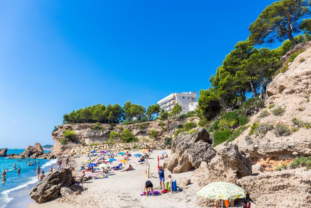Arenda Pino Alto Villa Gallo Miami Playa Dış mekan fotoğraf