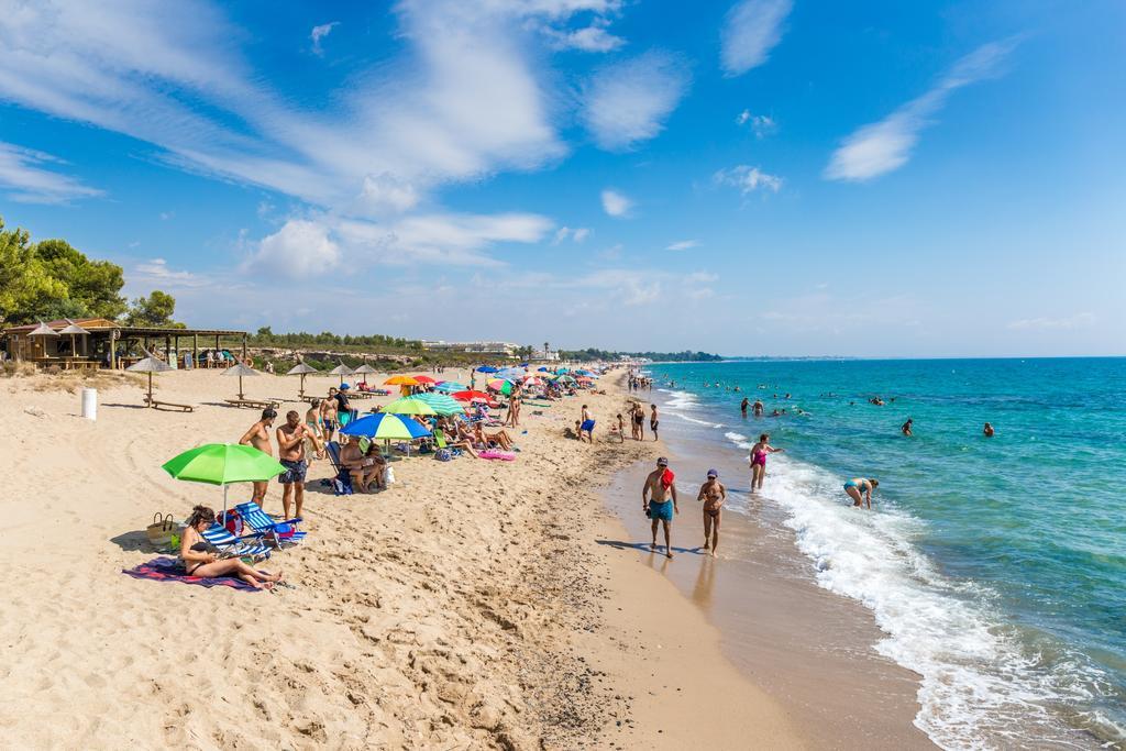Arenda Pino Alto Villa Gallo Miami Playa Dış mekan fotoğraf
